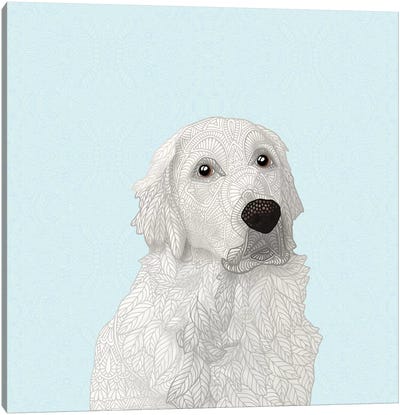 White Retriever Canvas Art Print - Labrador Retriever Art