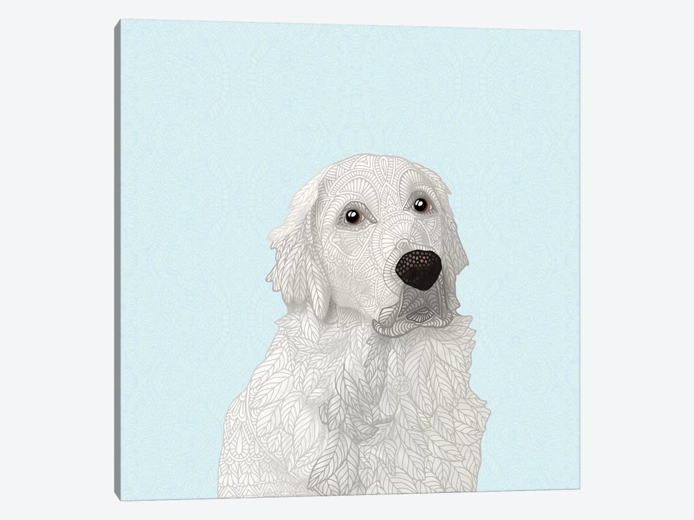 White Retriever by Angelika Parker 1-piece Canvas Wall Art