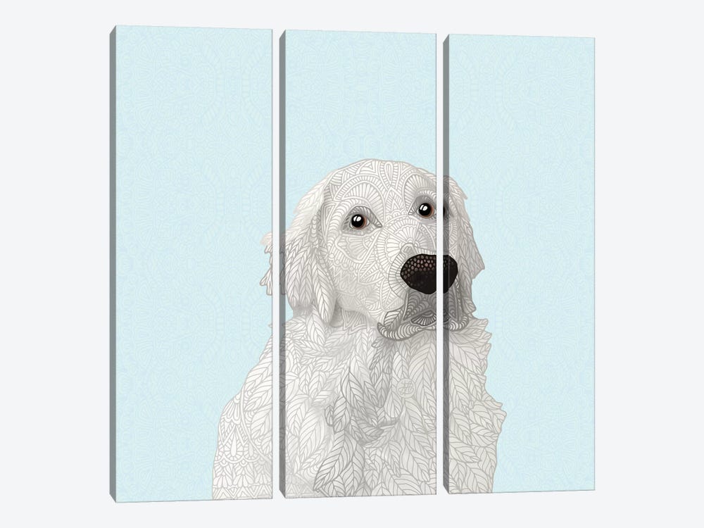 White Retriever by Angelika Parker 3-piece Canvas Wall Art