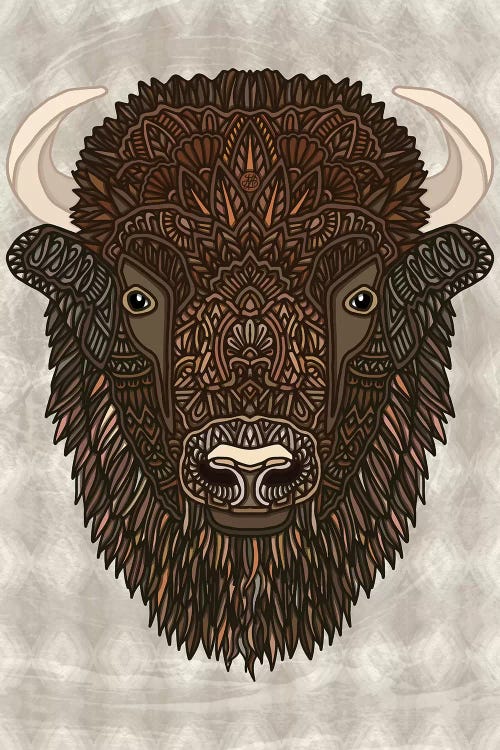 Bison