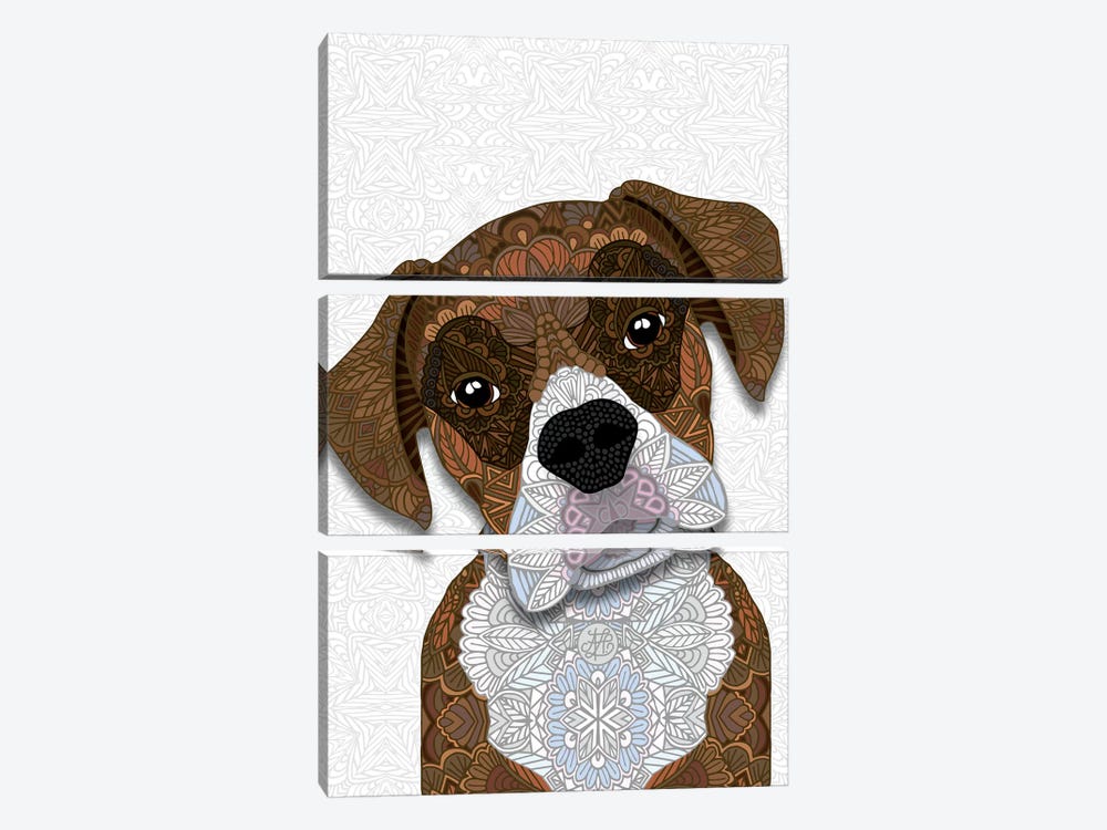 Brown Boxer by Angelika Parker 3-piece Canvas Wall Art