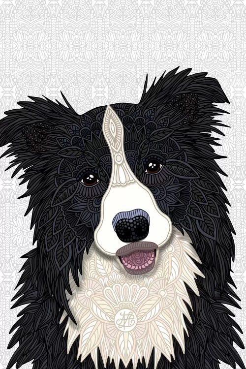 Cute Border Collie