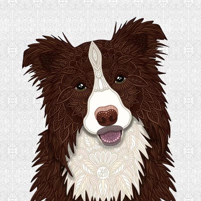 Red Border Collie by Angelika Parker acrylic art print