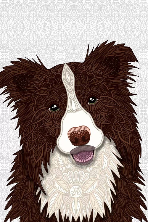 Red Border Collie