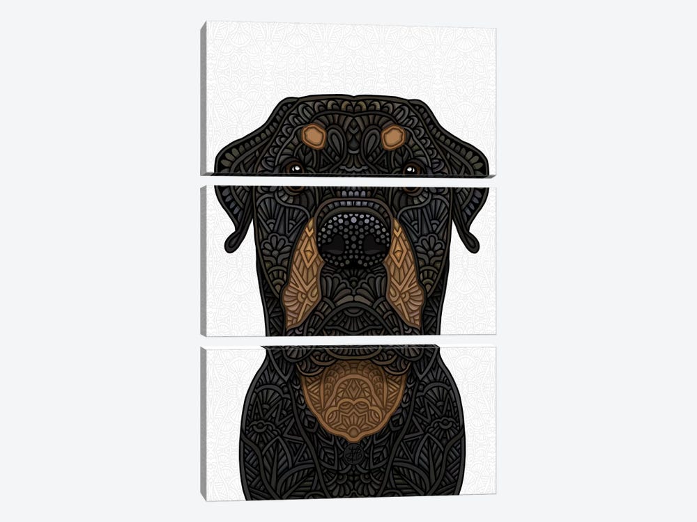 Rottweiler by Angelika Parker 3-piece Canvas Art Print