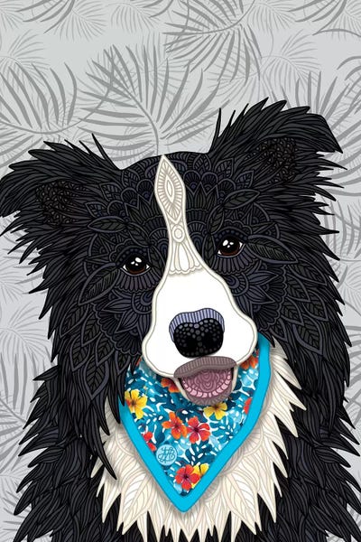 Tropical Border Collie Boy  by Angelika Parker acrylic art print