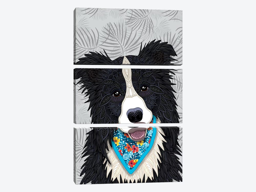 Tropical Border Collie Boy  by Angelika Parker 3-piece Canvas Wall Art