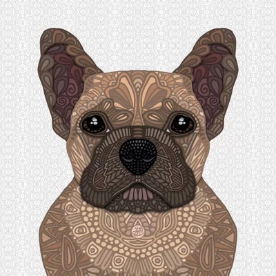 Fawn Frenchie by Angelika Parker metal wall art