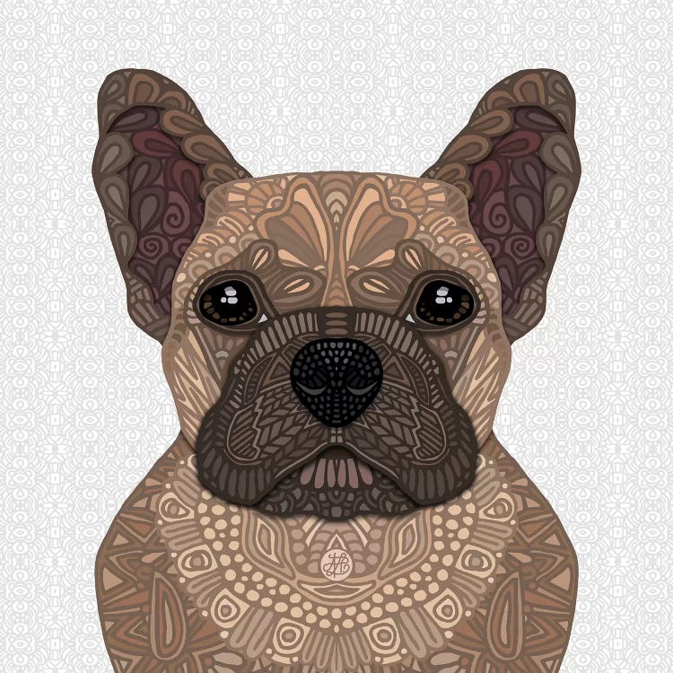 Fawn Frenchie