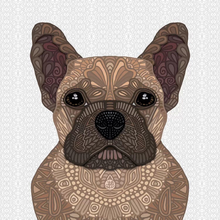 Fawn Frenchie