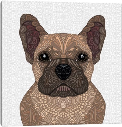 Fawn Frenchie Canvas Art Print - Angelika Parker