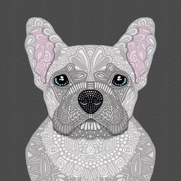 Cream Frenchie