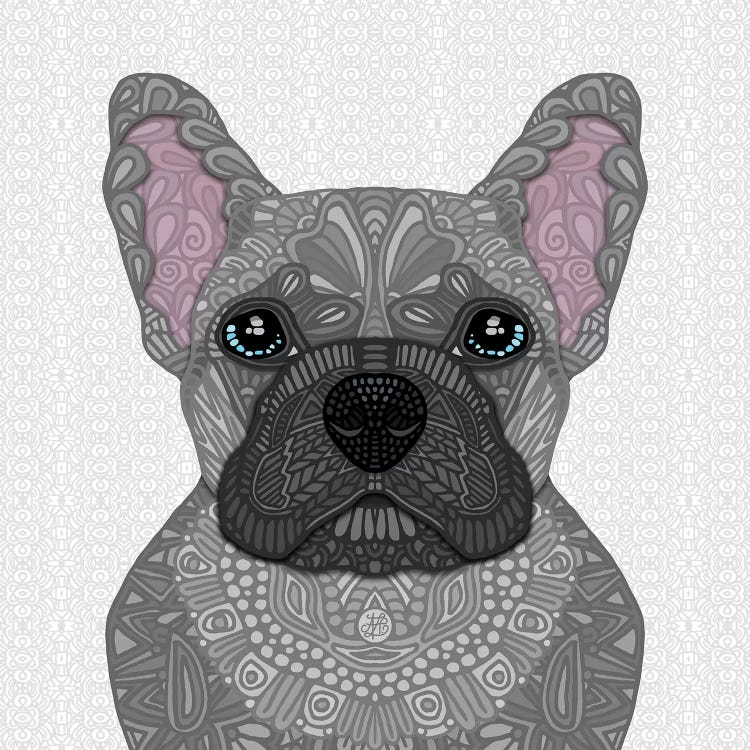 Blue Frenchie