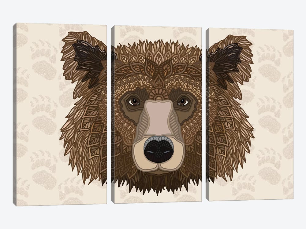 Grizzly Bear - Horizontal by Angelika Parker 3-piece Canvas Print