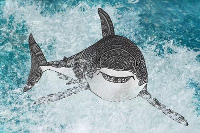 Shark by Angelika Parker canvas print