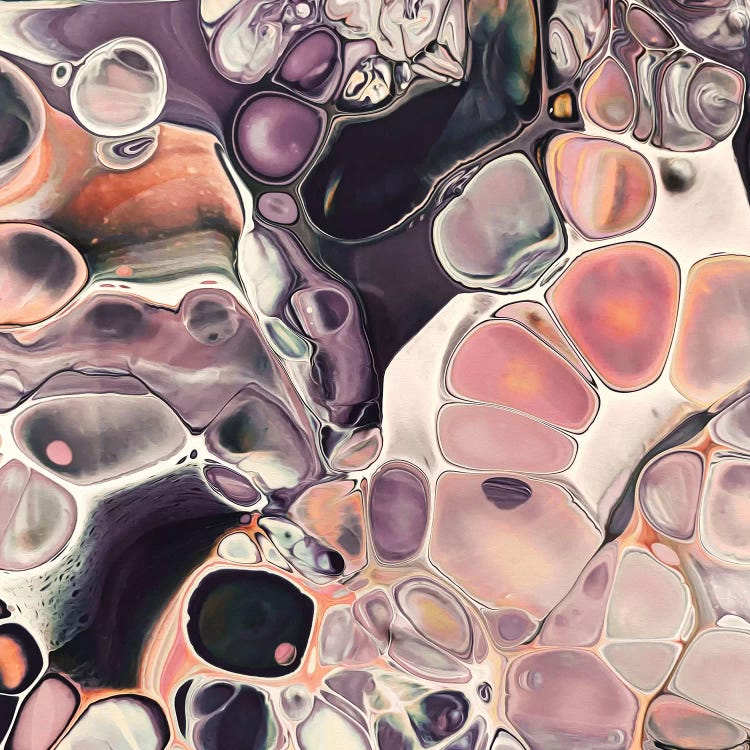 Ammonite Dream I by Angelika Parker wall art