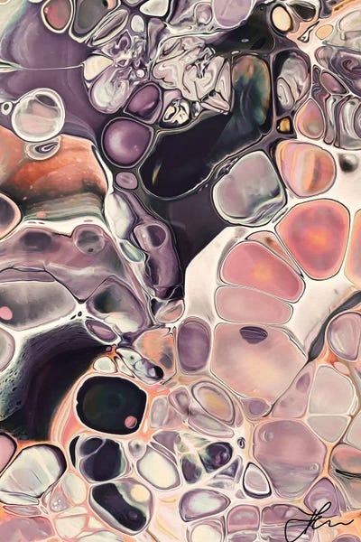 Ammonite Dream II by Angelika Parker canvas print