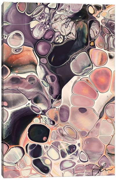 Ammonite Dream II Canvas Art Print - Angelika Parker