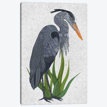 Great Blue Heron Canvas Print #ANG268} by Angelika Parker Canvas Artwork