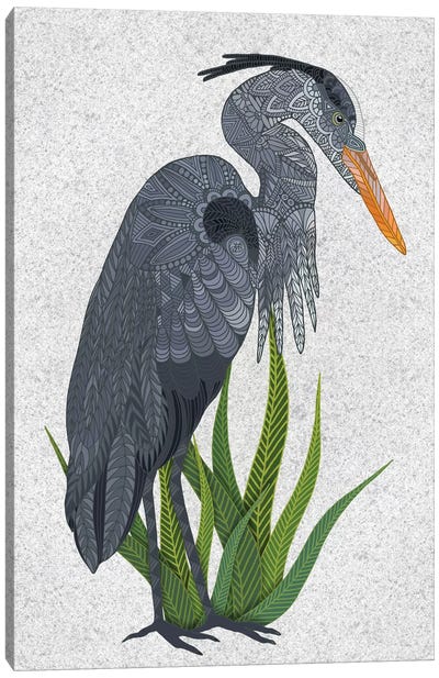 Great Blue Heron Canvas Art Print - Angelika Parker