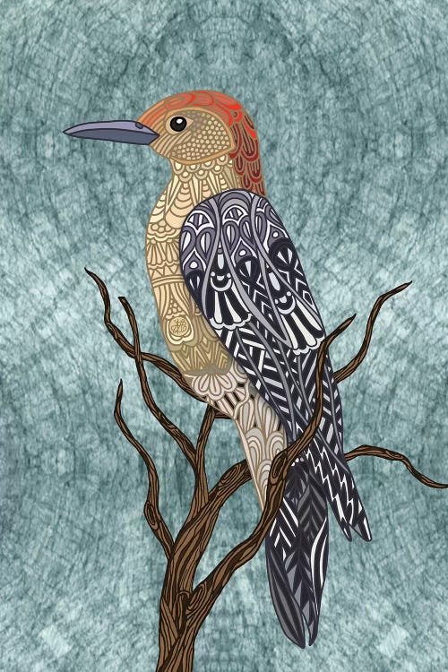 Woodpecker Bird