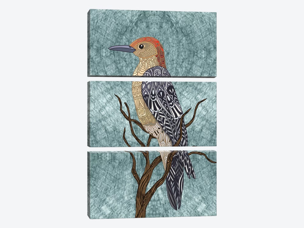 Woodpecker Bird by Angelika Parker 3-piece Canvas Print