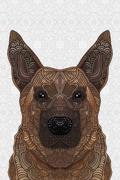 German Shepherd