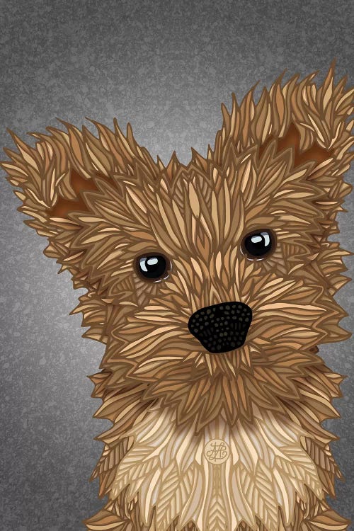 Yorkie Poo by Angelika Parker wall art