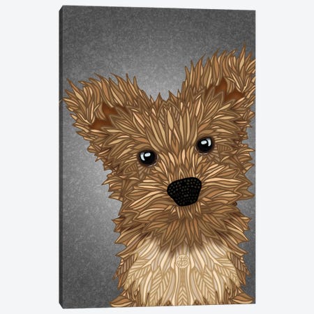 Yorkie Poo Canvas Print #ANG273} by Angelika Parker Canvas Print