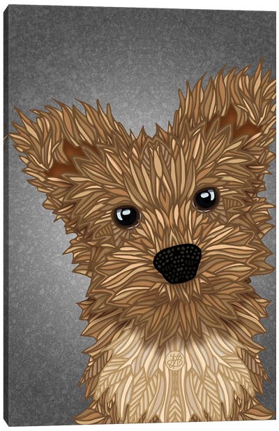 Yorkie Poo Canvas Art Print - Yorkshire Terrier Art