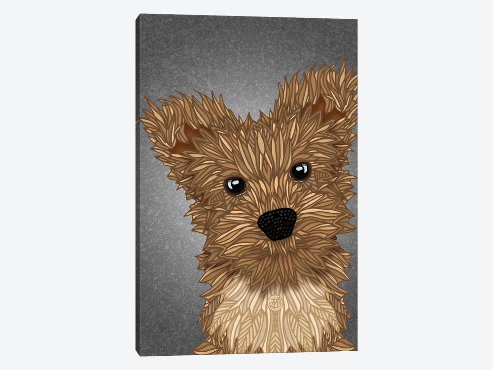 Yorkie Poo by Angelika Parker 1-piece Canvas Art
