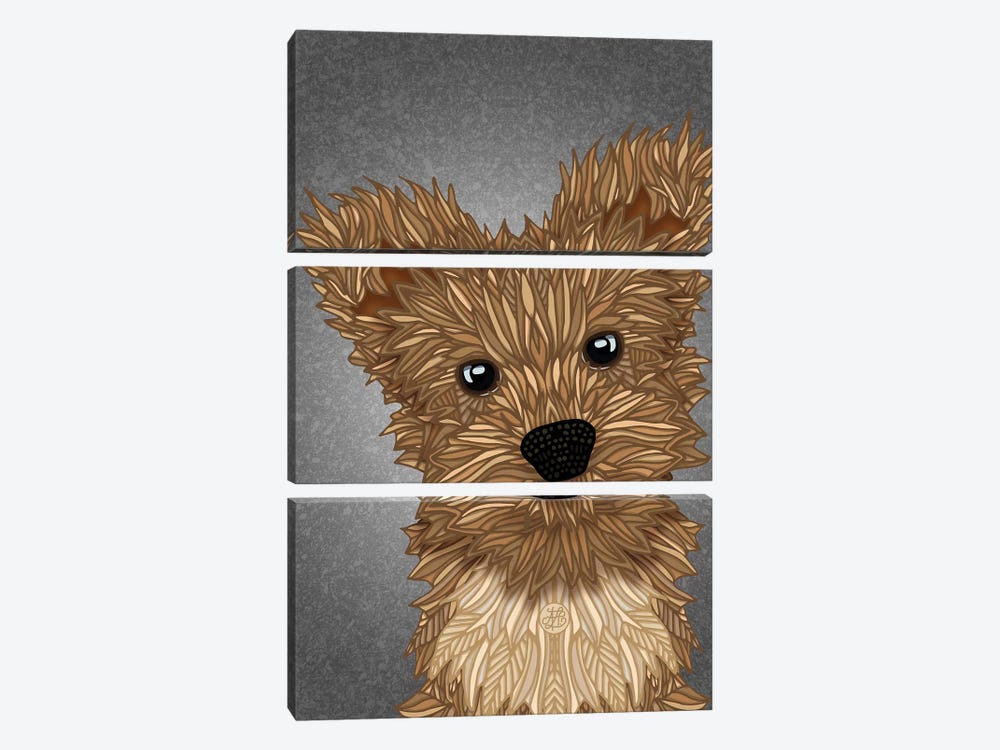 Yorkie Poo by Angelika Parker 3-piece Canvas Wall Art