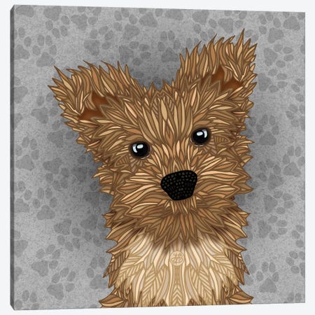 Huie Yorkie Canvas Print #ANG274} by Angelika Parker Canvas Artwork