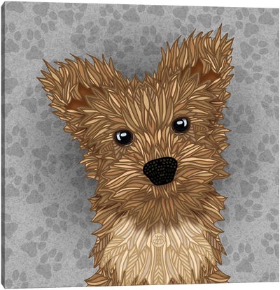 Huie Yorkie Canvas Art Print - Yorkshire Terrier Art