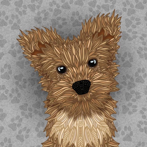 Terriers: Huie Yorkie by Angelika Parker