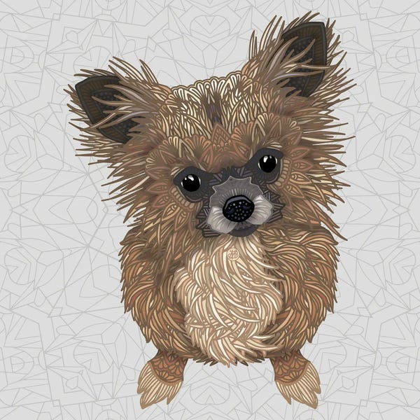 Chihuahuas: Boo - white by Angelika Parker