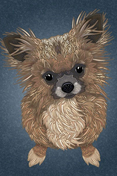 Chihuahuas: Boo - blue by Angelika Parker