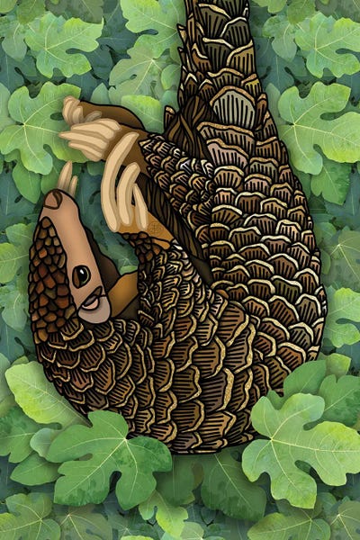 Armadillos: Pangolin by Angelika Parker