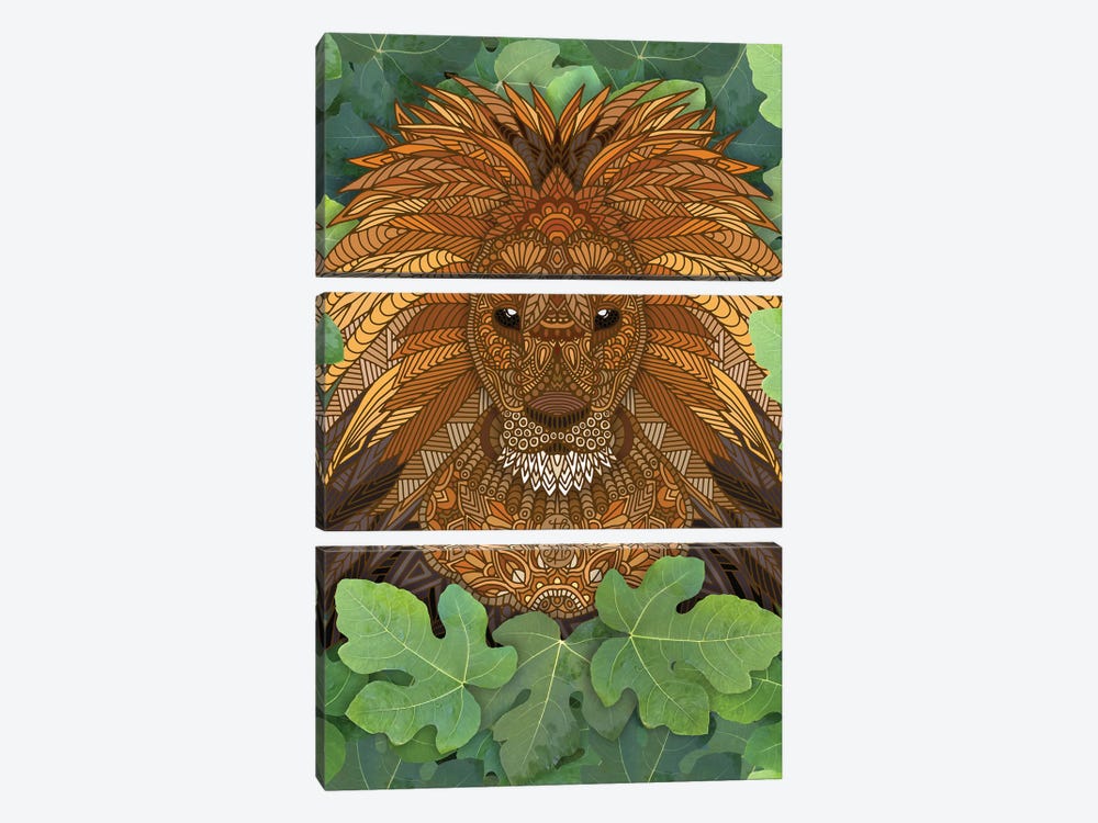Lion King of the Jungle by Angelika Parker 3-piece Canvas Art Print