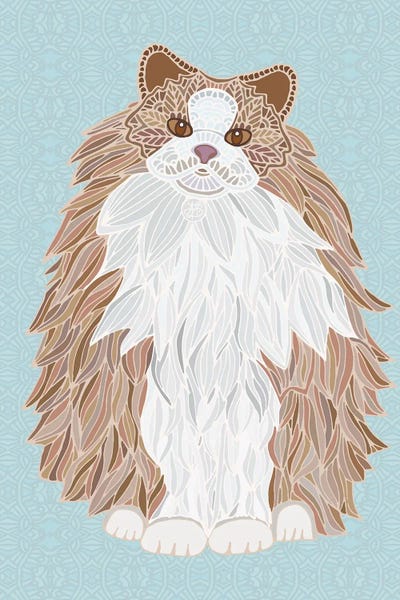 Orange Ragdoll by Angelika Parker canvas print