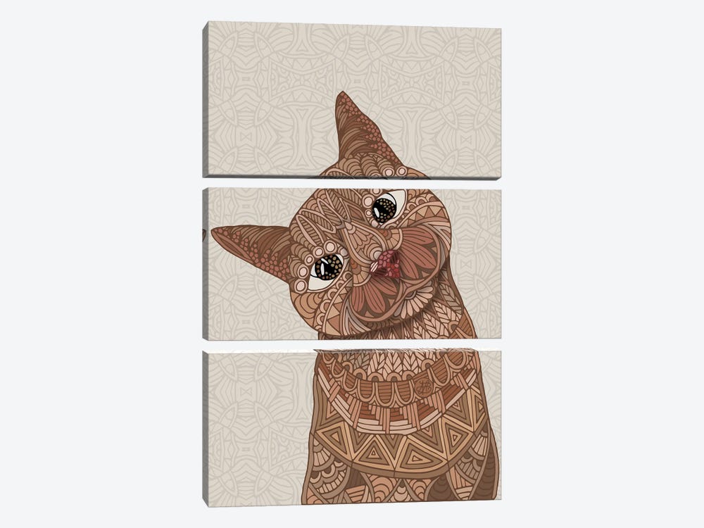 Hello Beautiful Cat by Angelika Parker 3-piece Canvas Wall Art