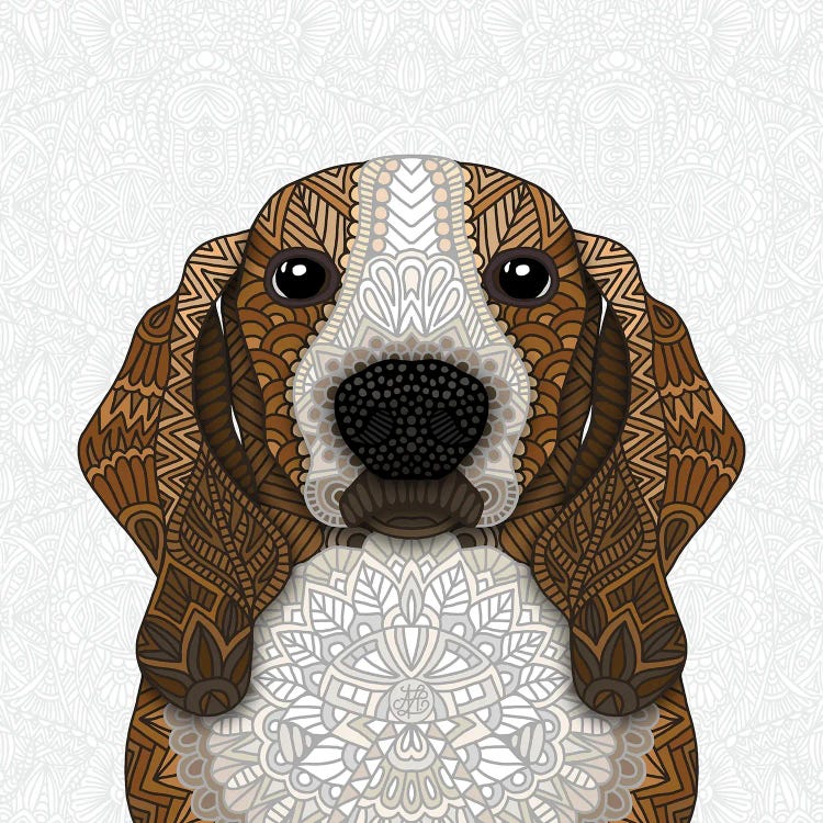 Basset Hound