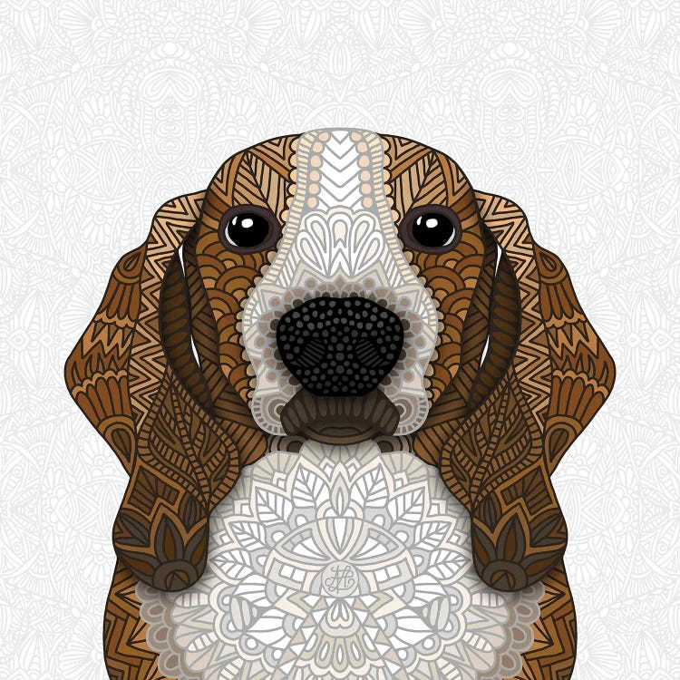 Basset Hound