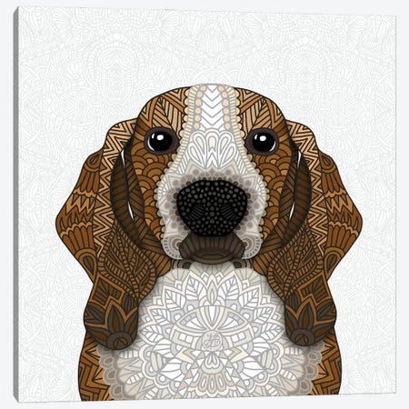 Basset Hound Canvas Print #ANG292} by Angelika Parker Canvas Art Print
