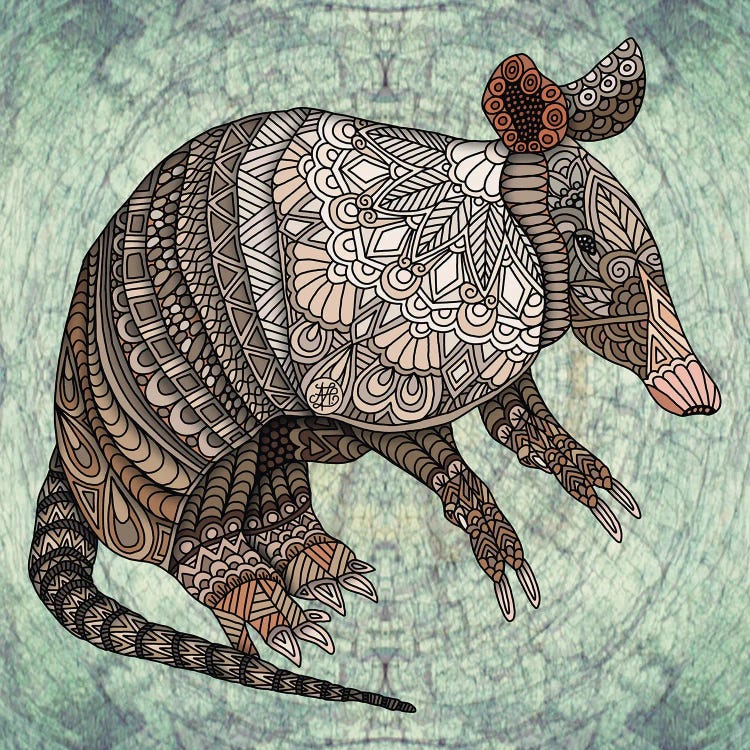 Armadillo by Angelika Parker wall art