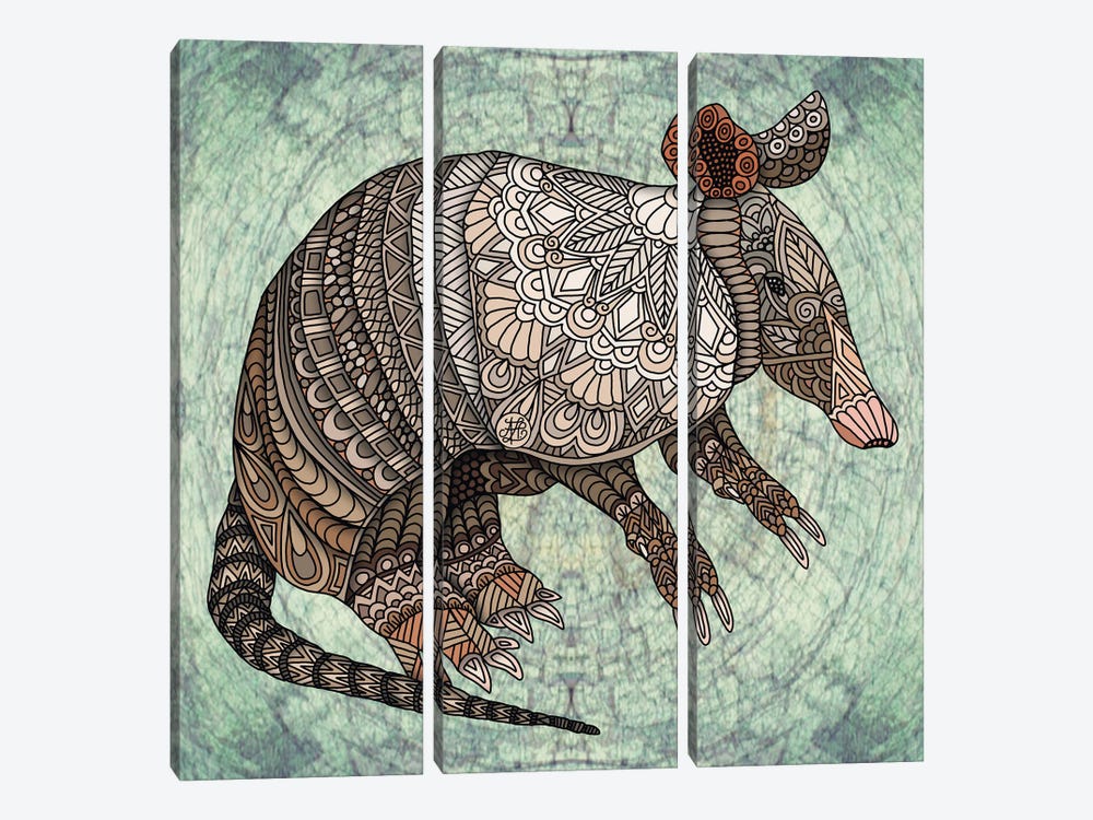 Armadillo by Angelika Parker 3-piece Canvas Wall Art