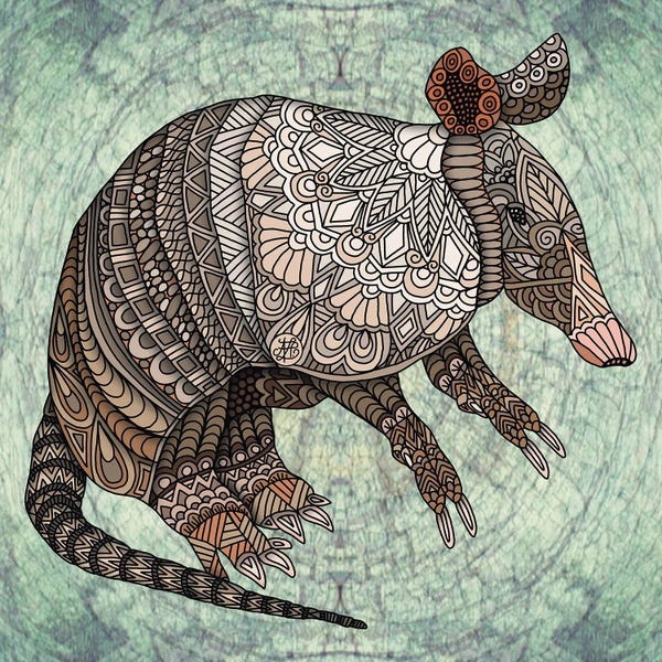Angelika Parker: Armadillo by Angelika Parker
