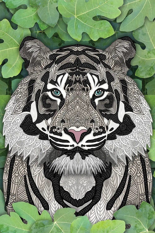 White Jungle Tiger