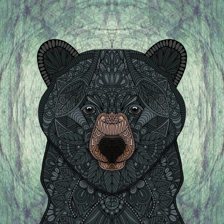 Black Bear