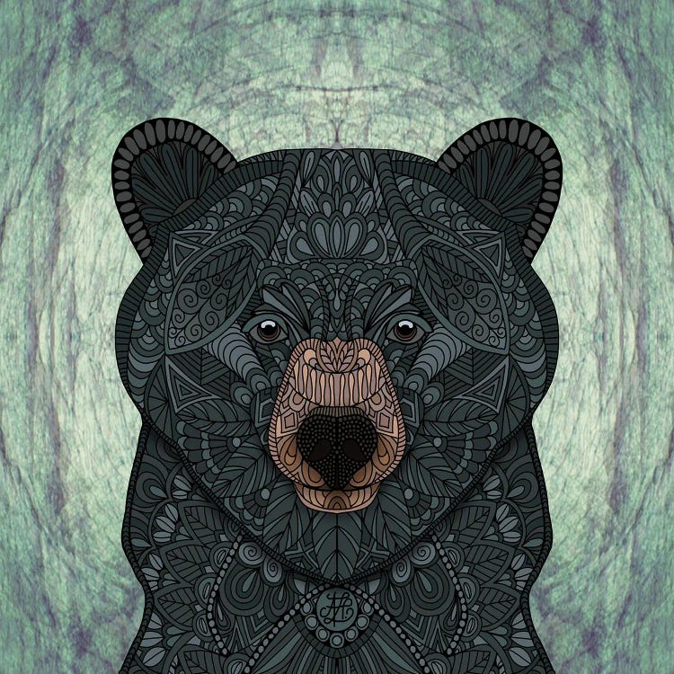 Black Bear